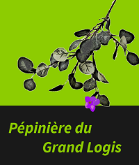 logo Pépinière du Grand Logis